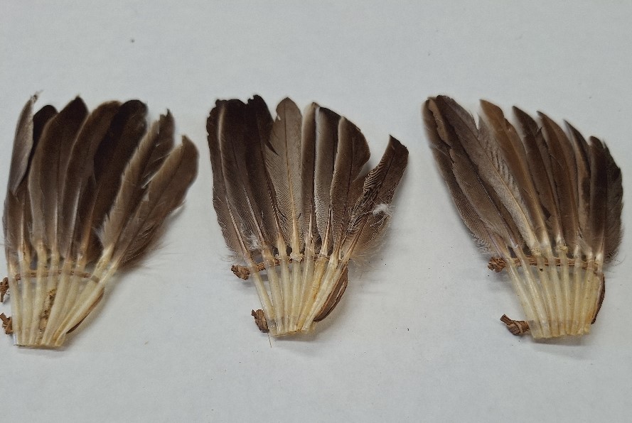 Rooster & Goose Feathers For Sale - Saddles, Hackles & Schlappen